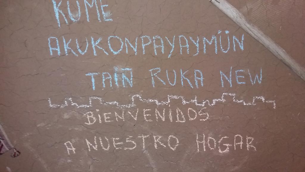 Cabañas Rukas Licantén Kültér fotó
